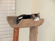 Enlarge photo 12