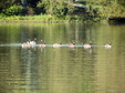 Enlarge photo 28