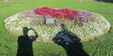 Enlarge photo 34