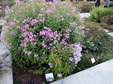 Enlarge photo 36