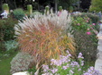 Enlarge photo 42