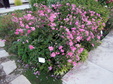 Enlarge photo 43