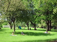 Enlarge photo 55