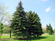 Enlarge photo 129