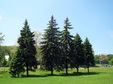 Enlarge photo 127