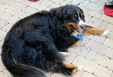 Enlarge photo 102