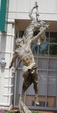 Enlarge photo 117