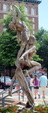 Enlarge photo 118