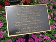 Enlarge photo 121