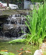 Enlarge photo 4