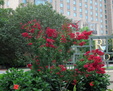 Enlarge photo 48