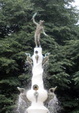 Enlarge photo 46