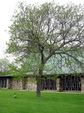 Enlarge photo 42