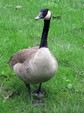 Enlarge photo 47