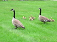 Enlarge photo 39