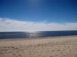 Enlarge photo 61