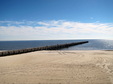 Enlarge photo 66