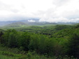 Enlarge photo 75