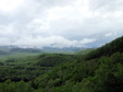Enlarge photo 77