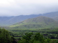 Enlarge photo 79