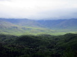 Enlarge photo 82