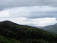 Enlarge photo 81