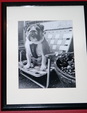 Enlarge photo 113