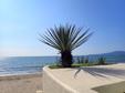 Enlarge photo 92