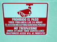 Enlarge photo 41
