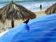 Enlarge photo 47
