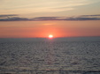 Enlarge photo 55