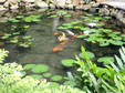 Enlarge photo 66