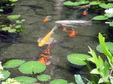 Enlarge photo 70