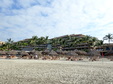 Enlarge photo 93