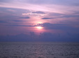 Enlarge photo 69