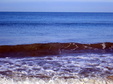 Enlarge photo 102