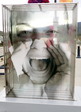 Enlarge photo 45