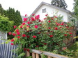 Enlarge photo 102