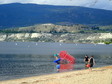 Enlarge photo 91