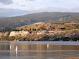 Enlarge photo 94