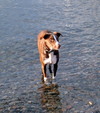 Enlarge photo 109