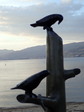 Enlarge photo 58