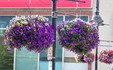Enlarge photo 104