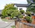 Enlarge photo 98