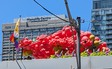 Enlarge photo 19