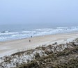 Enlarge photo 135