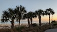 Enlarge photo 83
