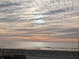 Enlarge photo 81