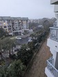 Enlarge photo 114