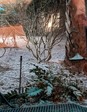 Enlarge photo 112
